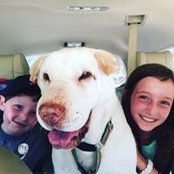 Kate Fialky's photo