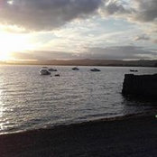 Elizabeth O Connor's photo