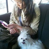Connie Cha's photo