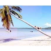 Léa Lenain.'s photo