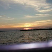 Foto von Lynne Wexler