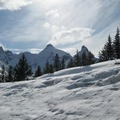 Marlene Moar's photo