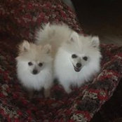 Christine Ferguson's photo