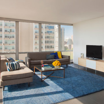 Chicago Lakeview Residence