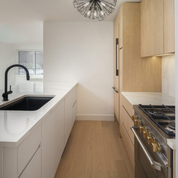 Gramercy Luxury Kitchen Renovation