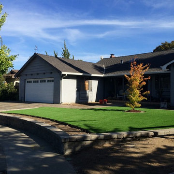 Cupertino 2