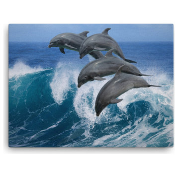 Bottle Noise Dolphins Animal Wildlife Photograph Canvas Wall Art Print, 18" X 24"