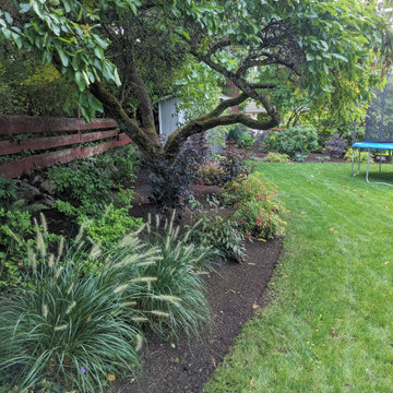 Recreation Renovation in Wedgwood