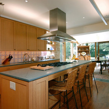 Winnetka Addition & Remodel