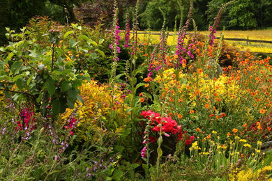 Rural garden in Sussex.