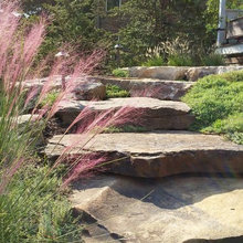 Landscape Ideas