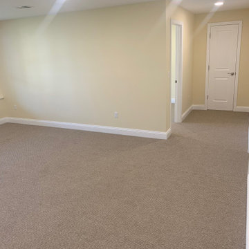 Basement Project