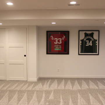 Oconomowoc Basement
