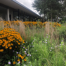 Lennox Landscaping
