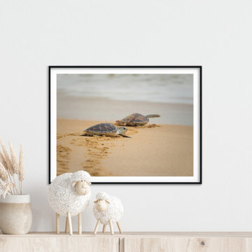 Baby Hawksbill Sea Turtle on the Beach Coastal Wall Art Prints