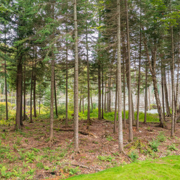 Forest Edge