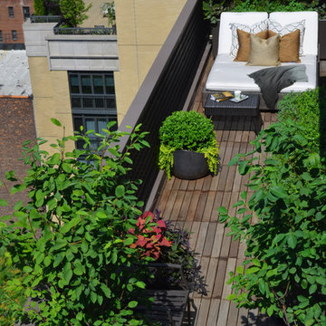 Beekman Penthouse Terrace