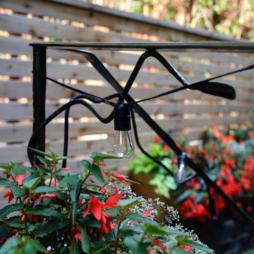 Rosedale - Intimate Condo Courtyard