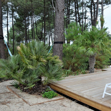 Les palmiers contribuent au décor de la piscine