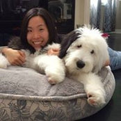 Foto von Mandy Siu