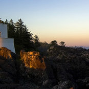 Dionne Hodgson's photo