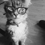 Carol McMullen's photo