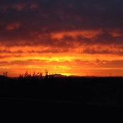 Jenny O'Day's photo