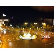 Silvia Caviglia's photo