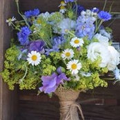 Kris Haffner's photo