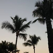 Alyssa TwoTangs's photo