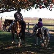 Amanda McGinty's photo