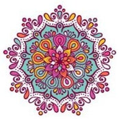 Bolor Tulga's photo