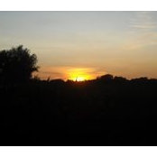 Dorine Kepner's photo
