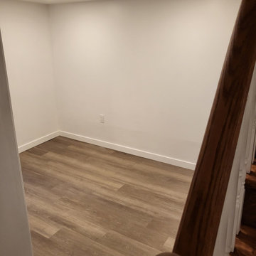 Erskine Basement/Bathroom Reno