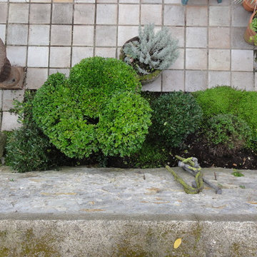 Rambouillet " Rondeurs Italiennes "