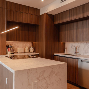 Axis Brickell Luxury Condo Renovation