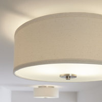 Inspire 2-Light Flush Mount, Brushed Nickel