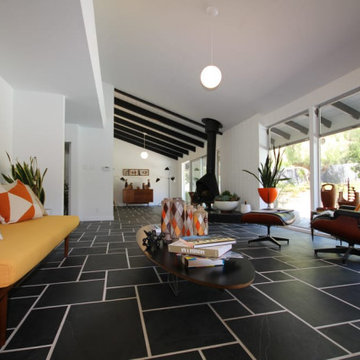 Mid-Century Modern Kitchen and Living Room Remodel in Scottsdale, AZ