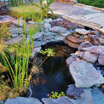 Lakeshore Rain Gardens, Pathway-Patio & Pond