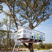 Casas en el árbol: Saca el niño que llevas dentro