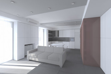 Foto di un soggiorno design di medie dimensioni e aperto con pareti bianche, pavimento in gres porcellanato, pavimento grigio e soffitto ribassato