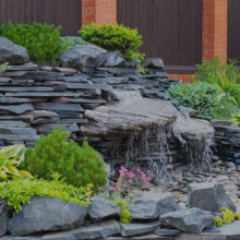 Back Yard Landscape