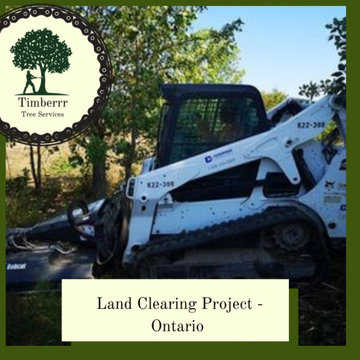 Land Clearing in West Lincoln Ontario