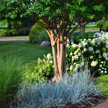 Patio Ideas