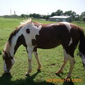 Deana Wages's photo