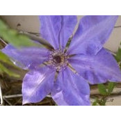 Sandy Warmington's photo
