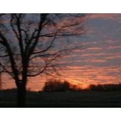Candace Haaven's photo
