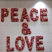 Janet DiGiacinto's photo