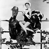 Heidi Shields Holman's photo