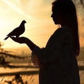 Foto von Rizwana Babar